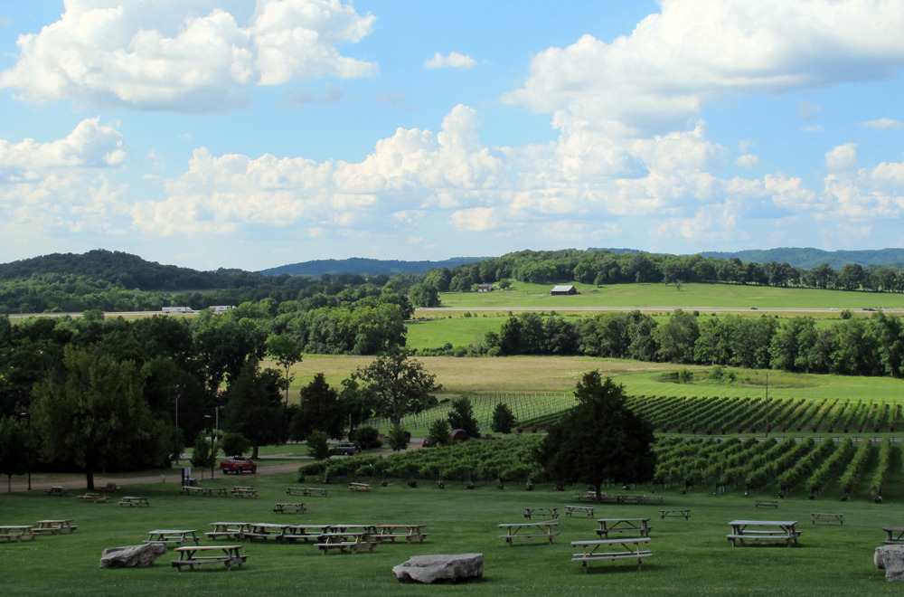 Arrington Vineyards Wine Tasting near Nashville with Fashion Blogger