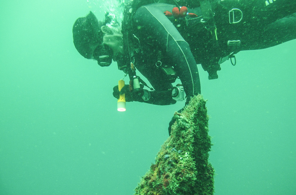 PCB Bucket List Wreck Diving in the Gulf of Mexico Travel Mindset