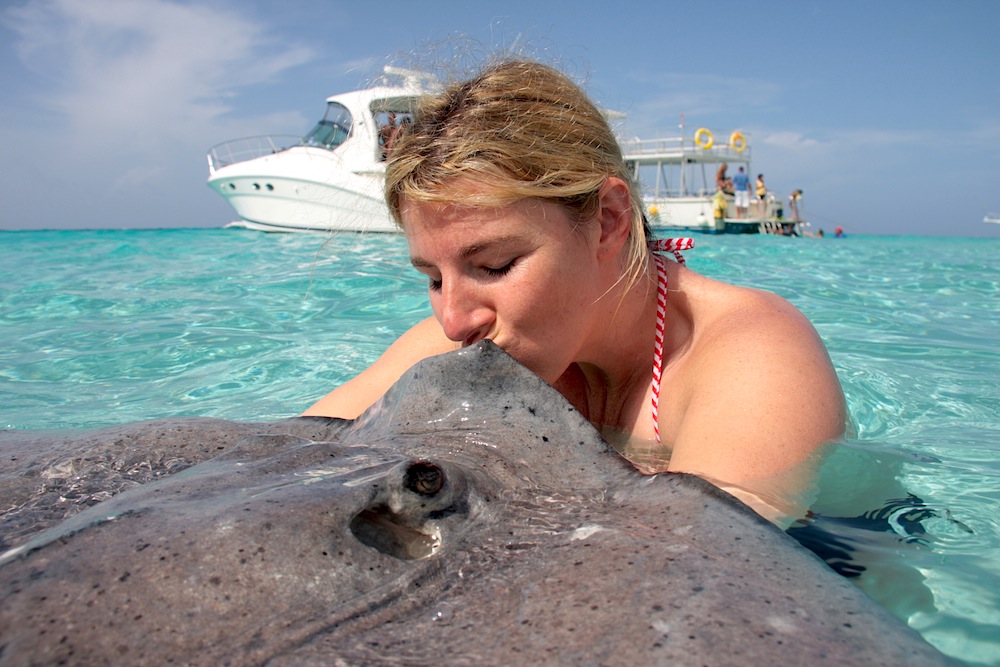 Get Kissed by a Stingray and Snorkel in Grand Cayman Island Travel