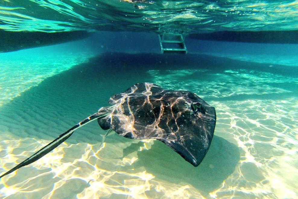 4 Grand Cayman Water Excursions | Travel Mindset