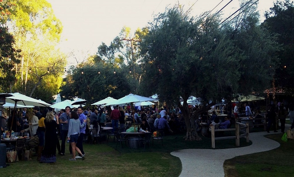 You Must Try Wine Tasting in Malibu Travel Mindset